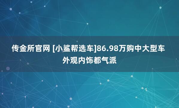 传金所官网 [小鲨帮选车]86.98万购中大型车 外观内饰都气派