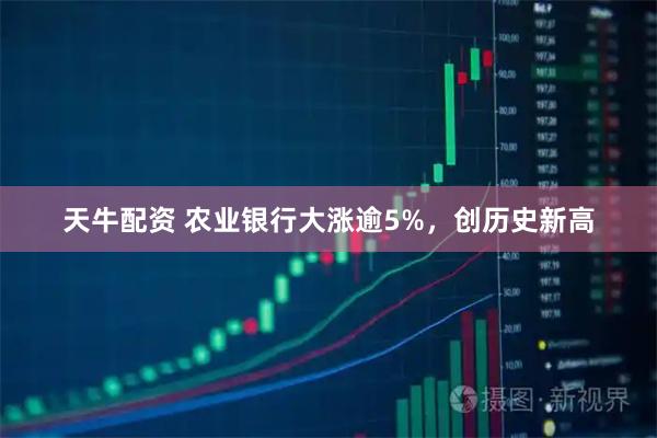天牛配资 农业银行大涨逾5%，创历史新高