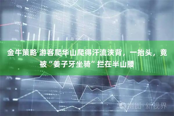 金牛策略 游客爬华山爬得汗流浃背，一抬头，竟被“姜子牙坐骑”拦在半山腰